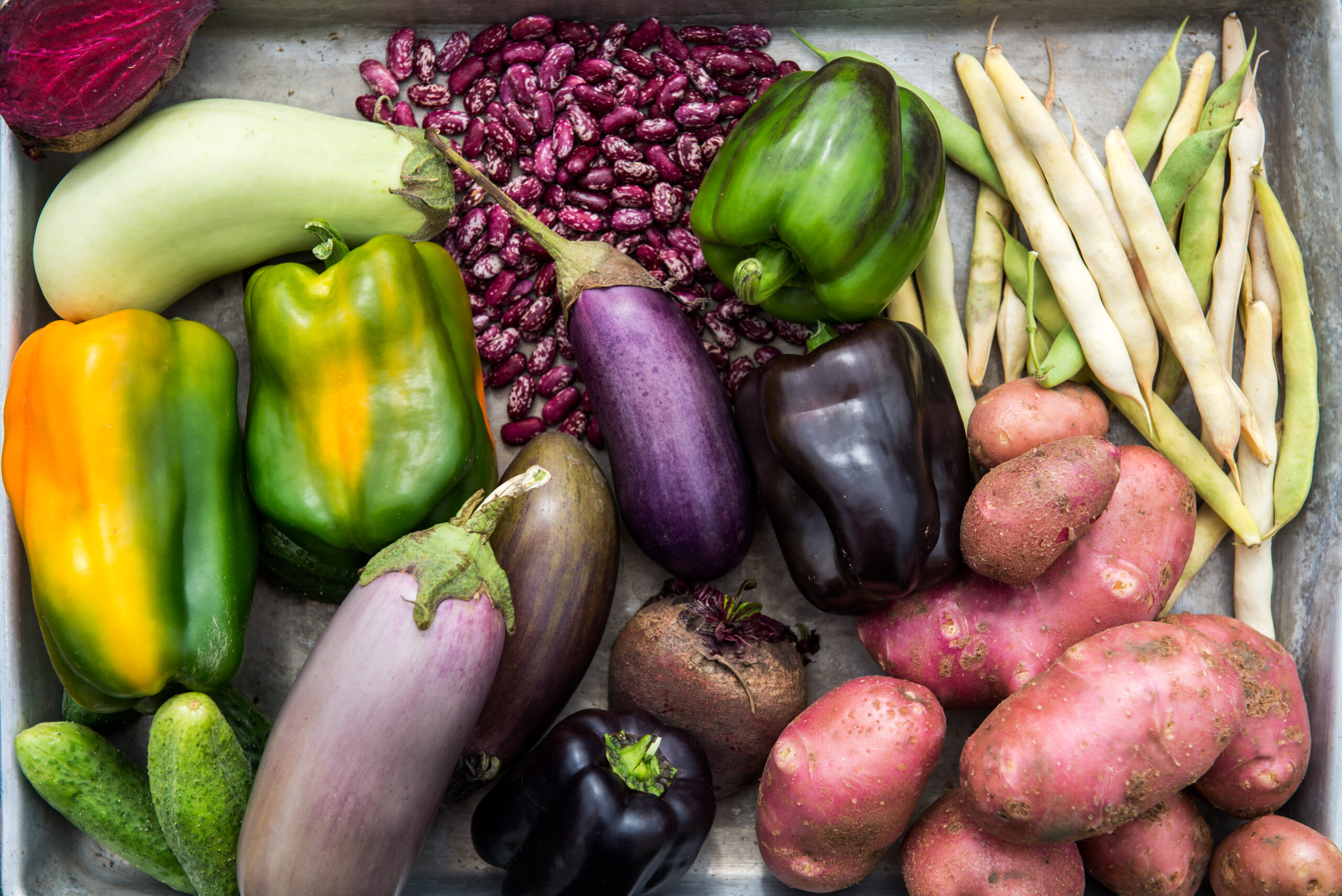 freshly harvested foods