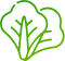 lettuce-icon