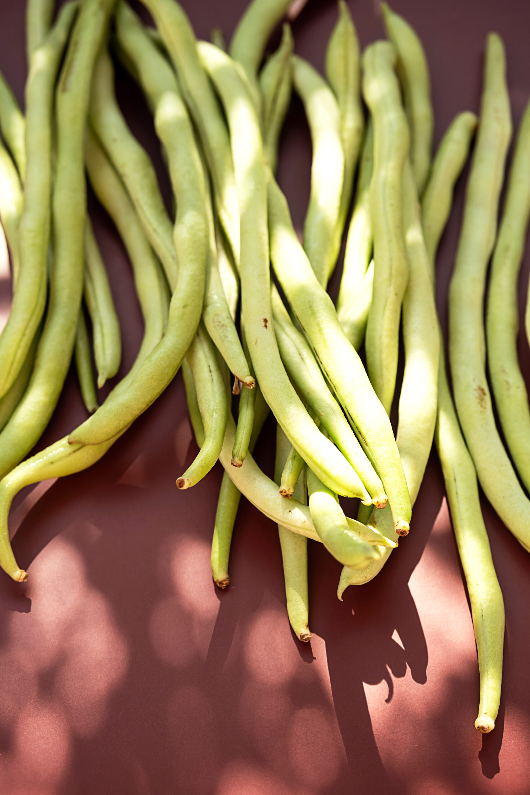 Some string beans on garden table. Home grown organic veggies.